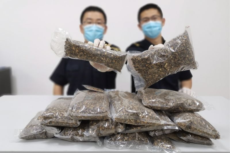 煙臺海關(guān)截獲偽報出境沉香6.87千克（圖）