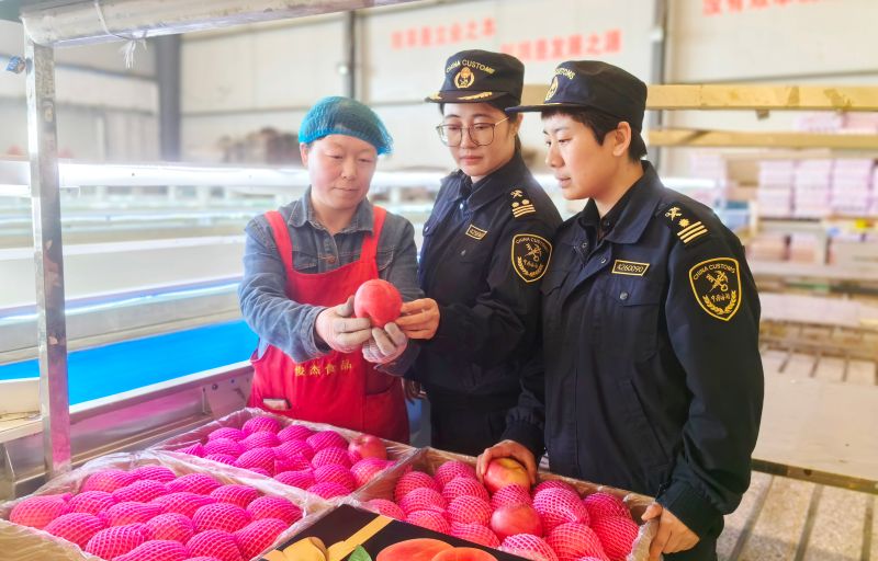 海關(guān)精準服務(wù) 助力全球最大海上風(fēng)電安裝船交付出海（圖）