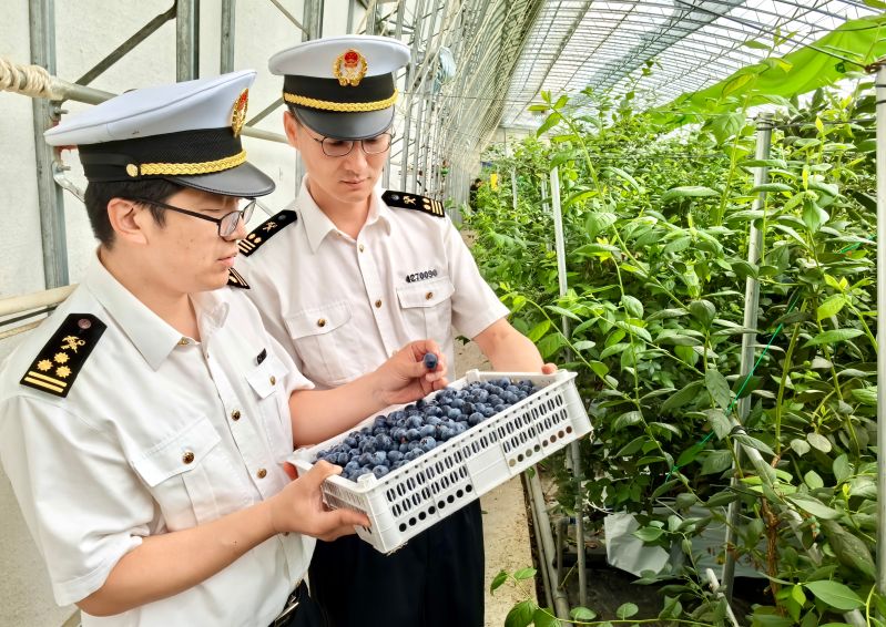 內(nèi)需擴(kuò)大帶動(dòng)進(jìn)口趨穩(wěn) ----上半年山東機(jī)電產(chǎn)品進(jìn)口實(shí)現(xiàn)兩位數(shù)增長(zhǎng)（圖）