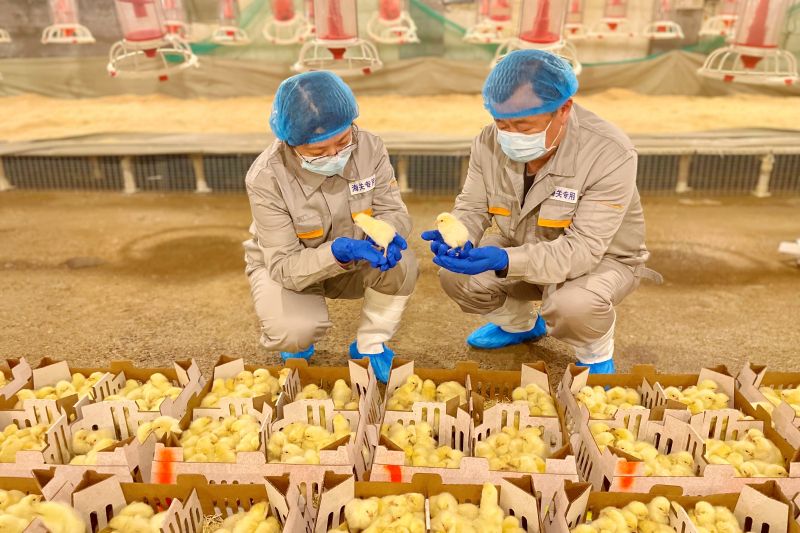 “煙臺(tái)—塞內(nèi)加爾”西非航線正式開通（圖）